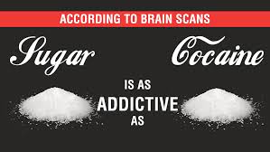 sugar is as addictive as cocaine
